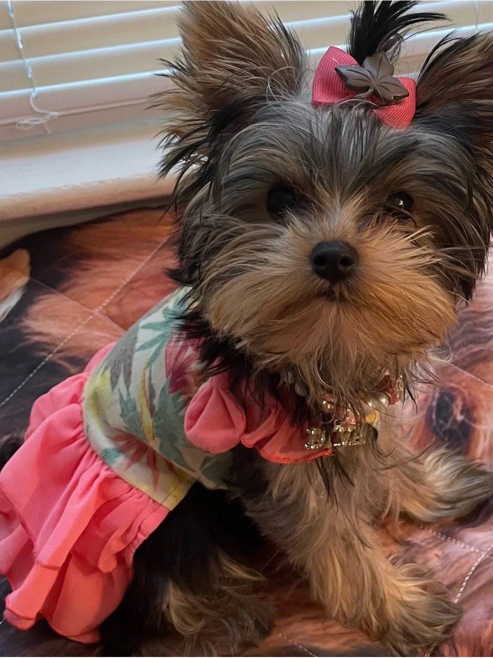 Floral Ruffle Dress with Bow Straps